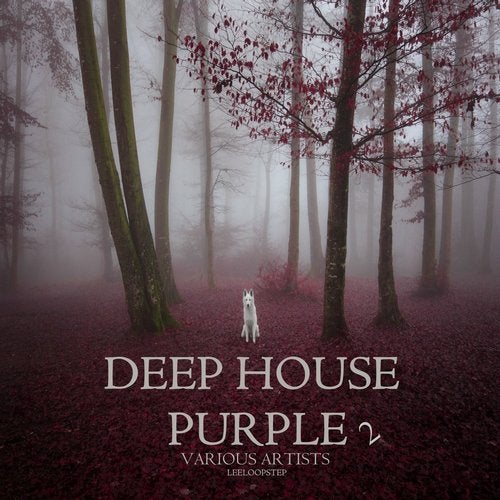 Deep House Purple 2 - Leeloopstep Records