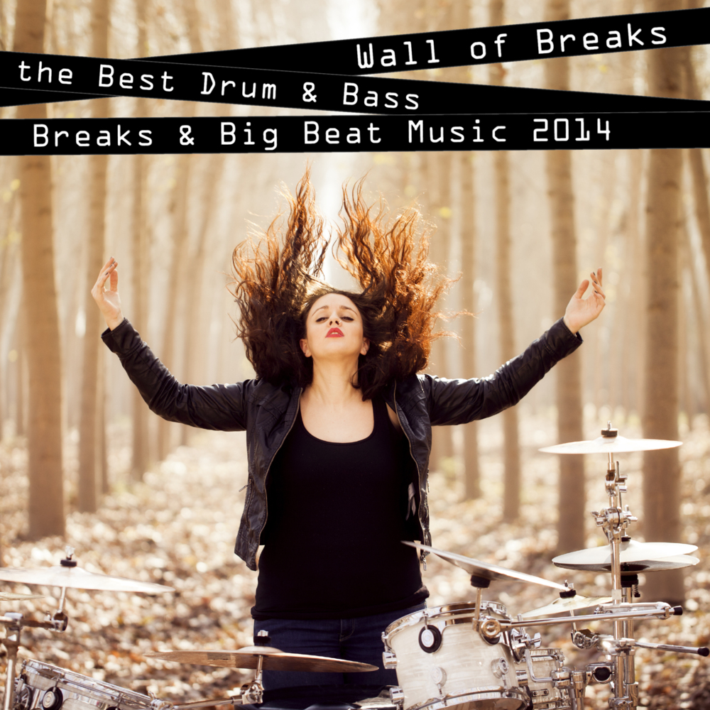 Wall of Breaks - The Best Drum & Bass, Breaks & Big Beat Music 2014, Breakdrum Recordsings